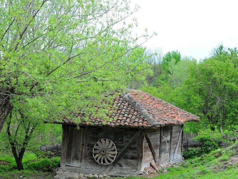 Bistricki Mir 1 Apartamento Petrovac na Mlavi Exterior foto