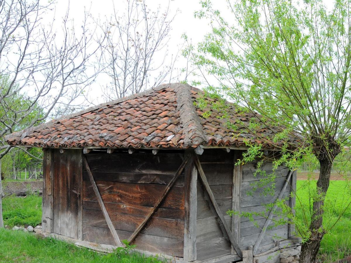 Bistricki Mir 1 Apartamento Petrovac na Mlavi Exterior foto