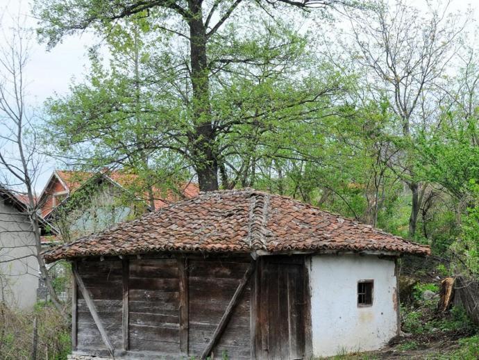 Bistricki Mir 1 Apartamento Petrovac na Mlavi Exterior foto