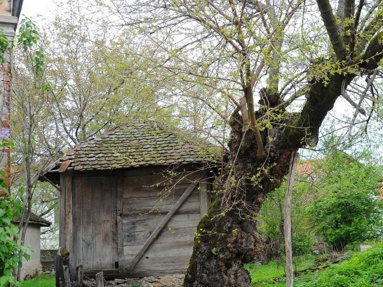 Bistricki Mir 1 Apartamento Petrovac na Mlavi Exterior foto