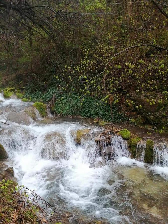 Bistricki Mir 1 Apartamento Petrovac na Mlavi Exterior foto