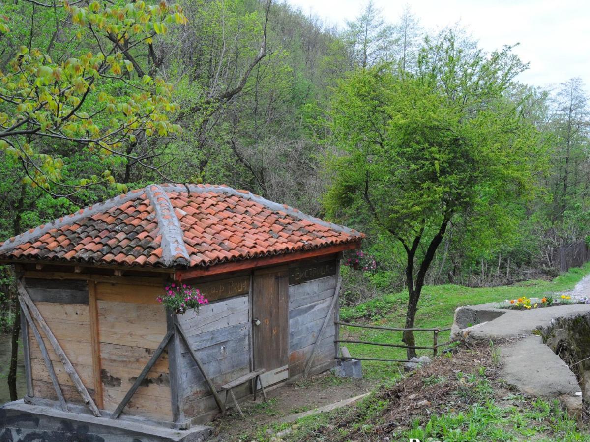 Bistricki Mir 1 Apartamento Petrovac na Mlavi Exterior foto