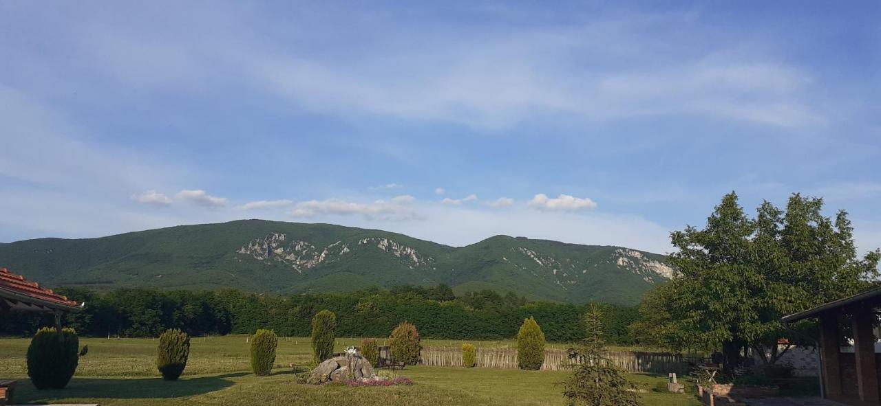 Bistricki Mir 1 Apartamento Petrovac na Mlavi Exterior foto